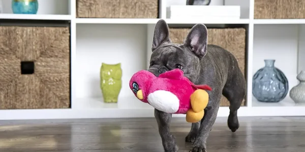 10 Best Dog Toys on Amazon That Dogs Actually Love