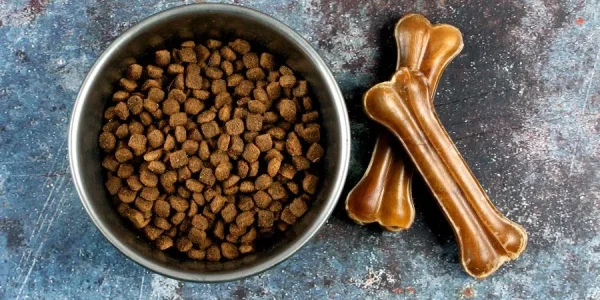Best Dog Food for Sensitive Stomach