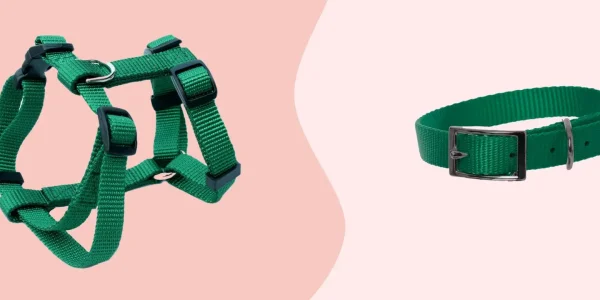 Best Dog Harness vs Collar
