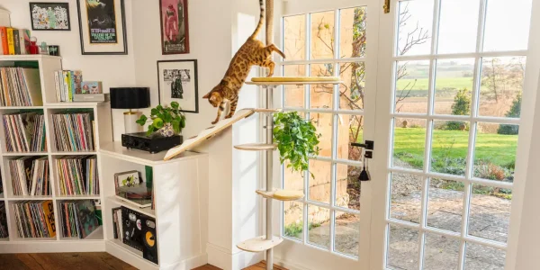 Best cat trees for small apartments