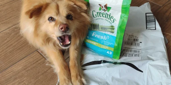 How to Save Money on Pet Supplies