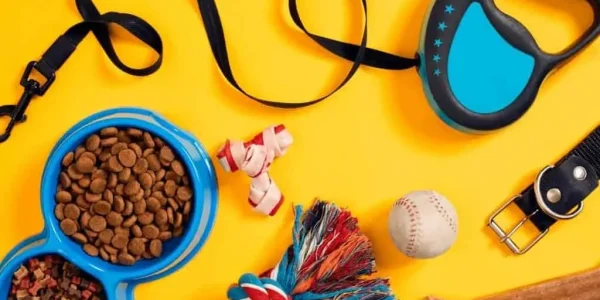 Must Have Pet Accessories