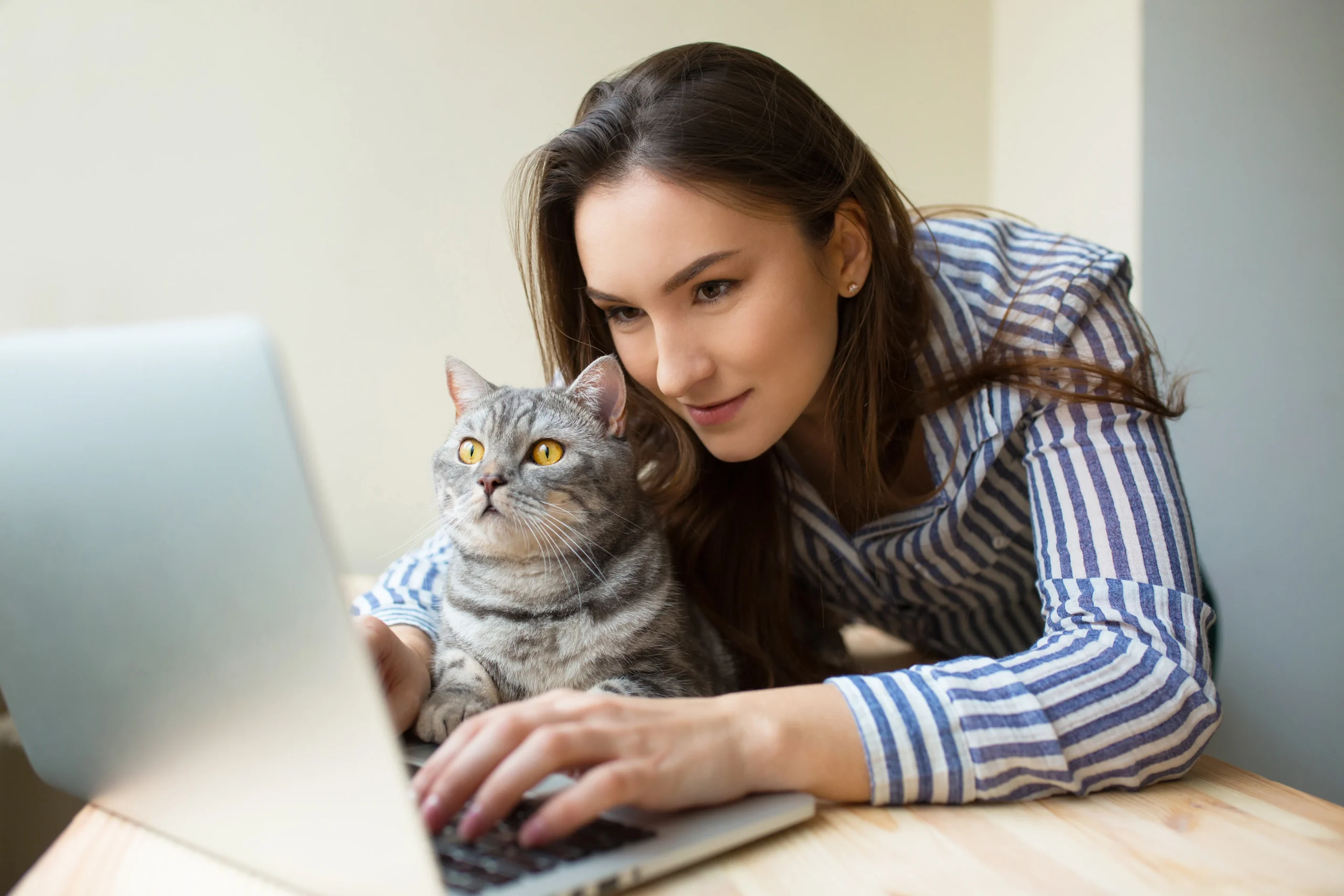 Checklist illustrating the pet care product review process including safety checks, customer reviews, product testing, pet health standards, and expert buying recommendations for pet owners