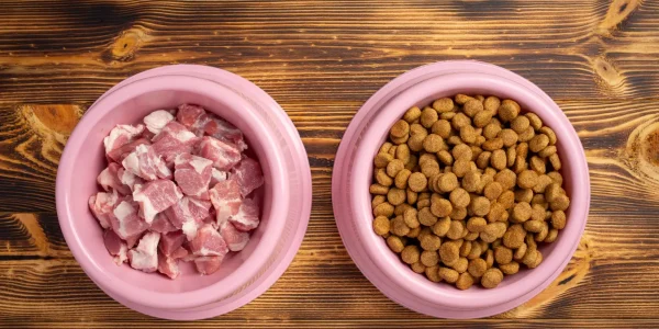 chicken by-products in dog food