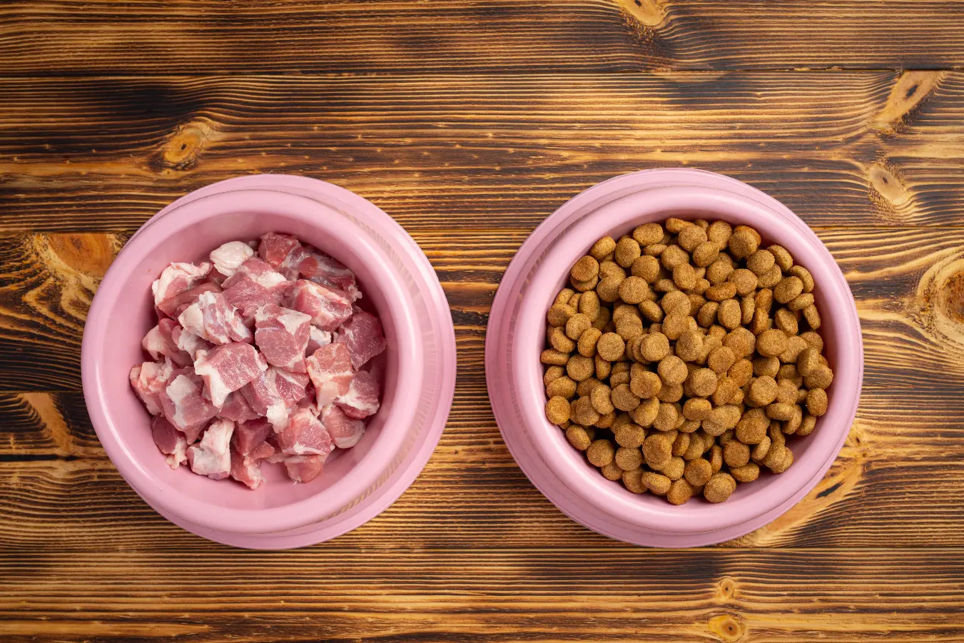 chicken by-products in dog food
