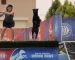 dock diving training tips