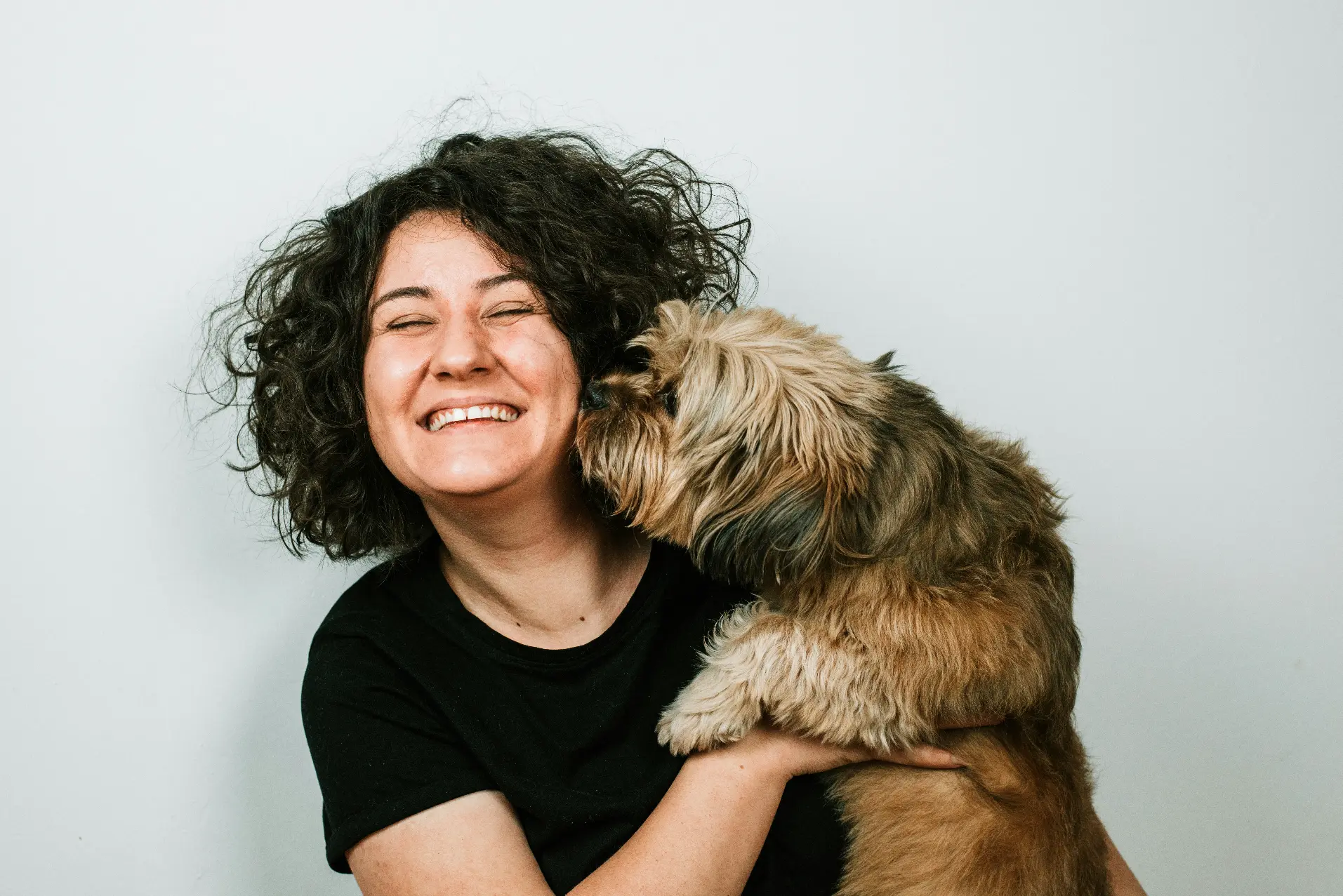 dogs reduce stress and anxiety