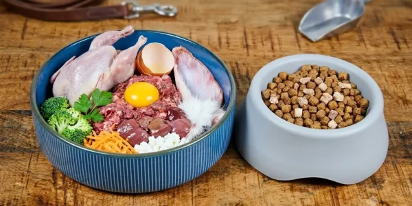 poultry by-product meal