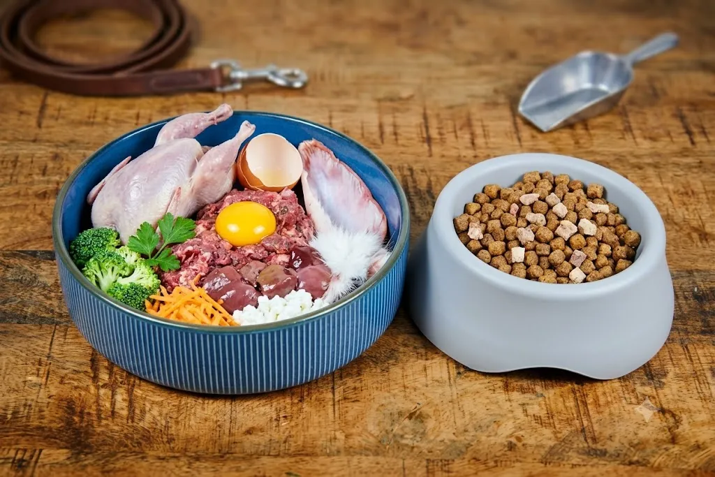poultry by-product meal
